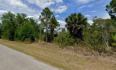 Land, PORT CHARLOTTE, FL