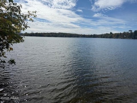 Land on Wrighter Lake