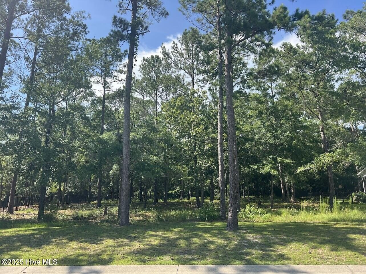 Residential Lot in RiverSea Plantation
