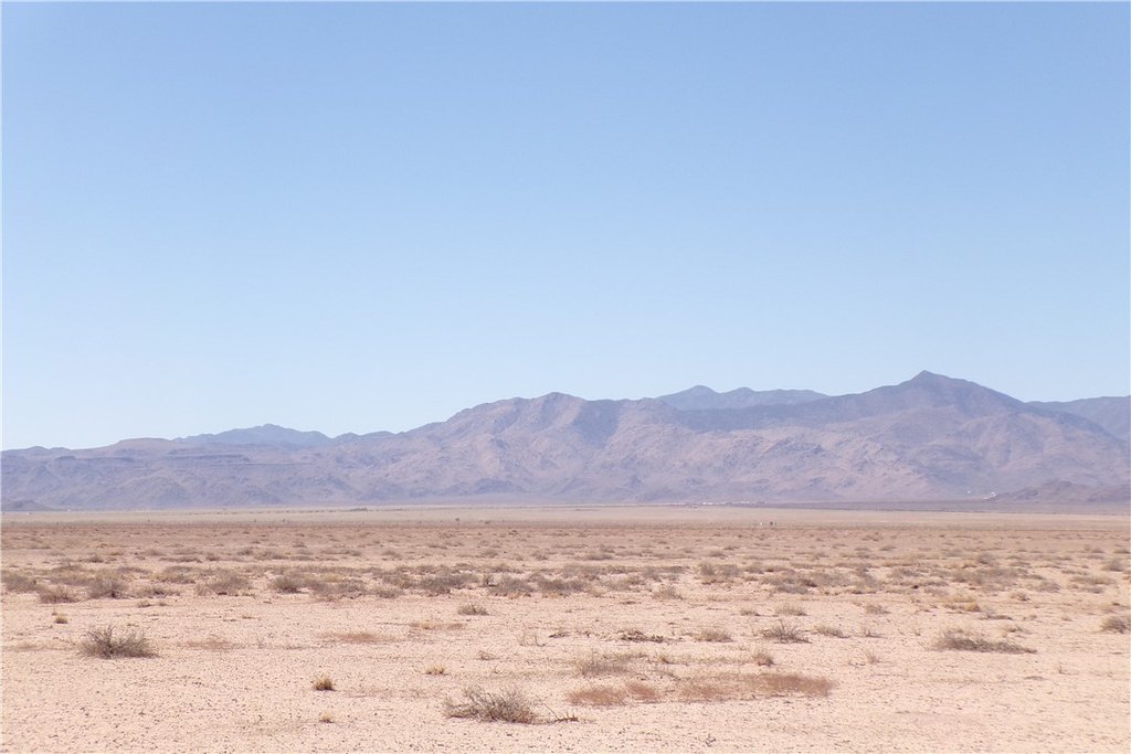 Picture 8