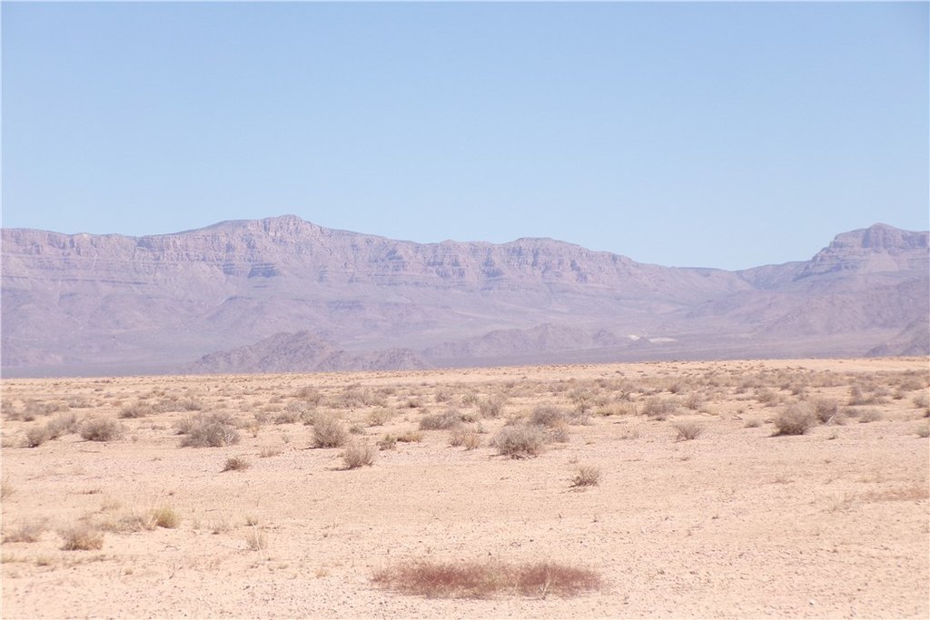 Picture 10