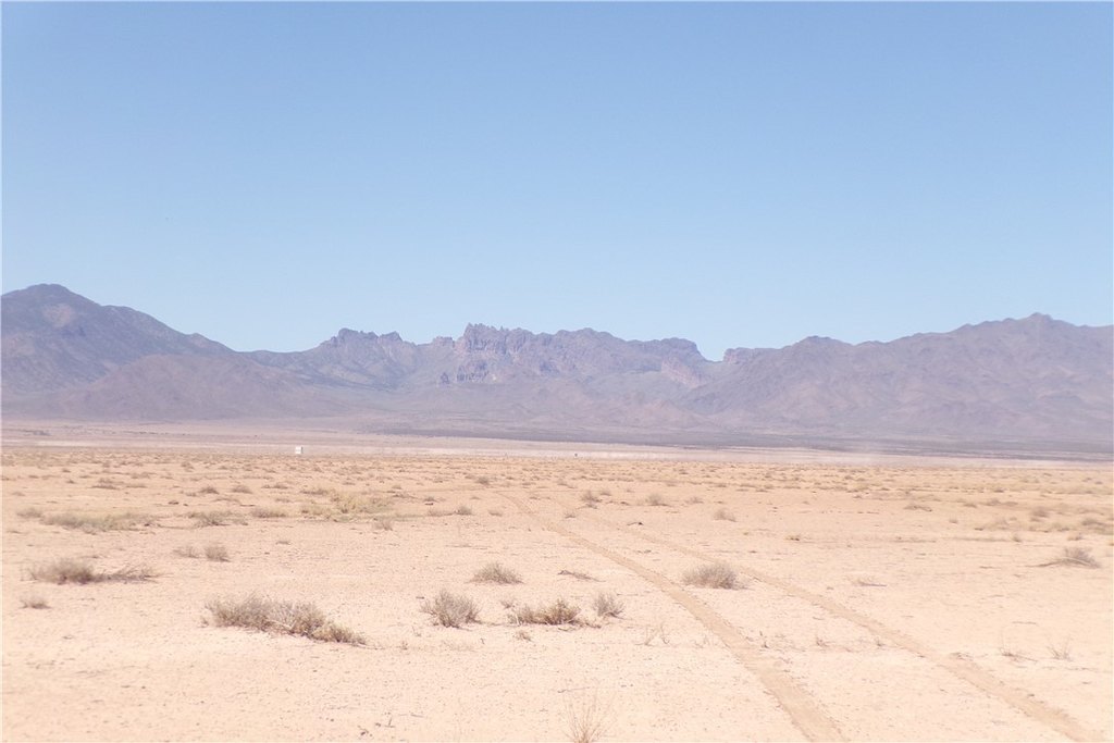 Picture 3