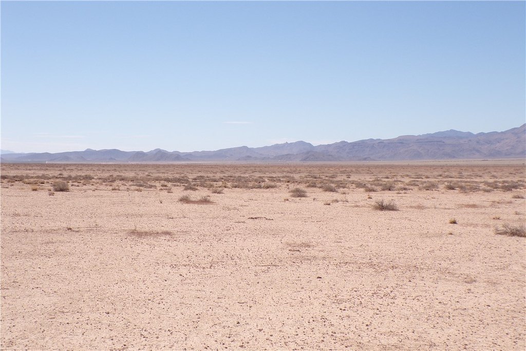 Picture 14