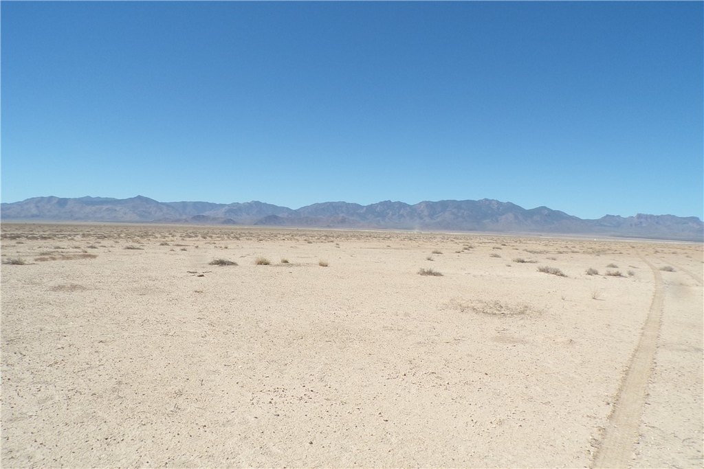 Picture 5