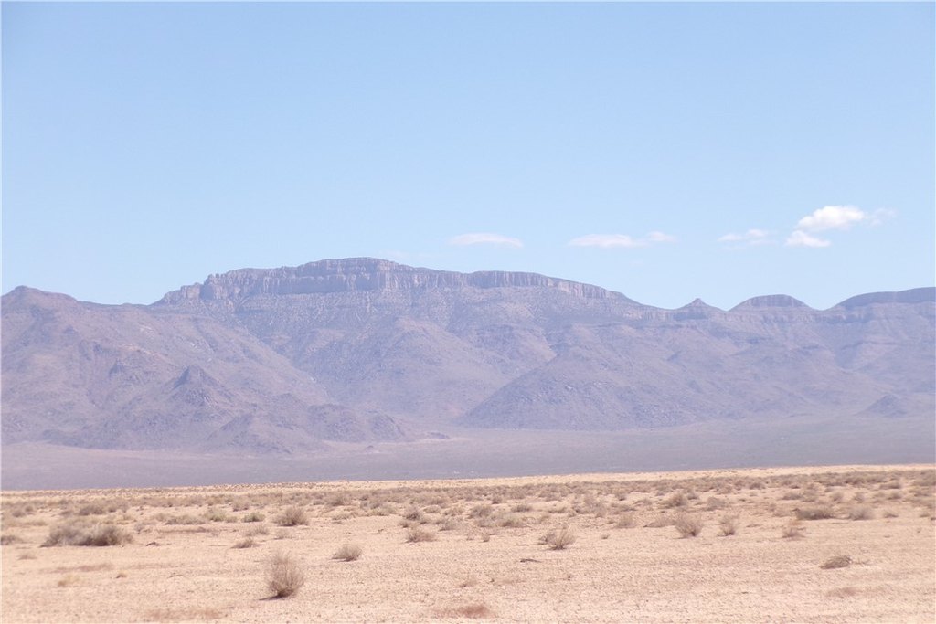 Picture 9