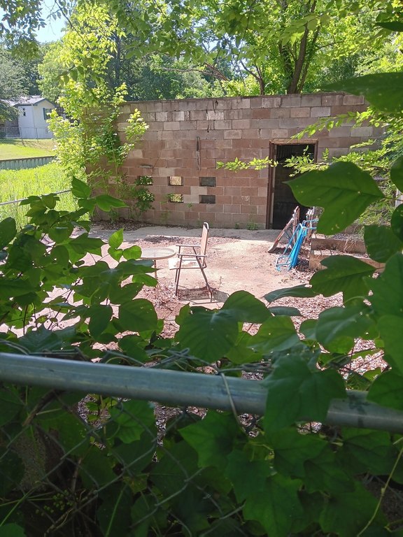 Picture 5