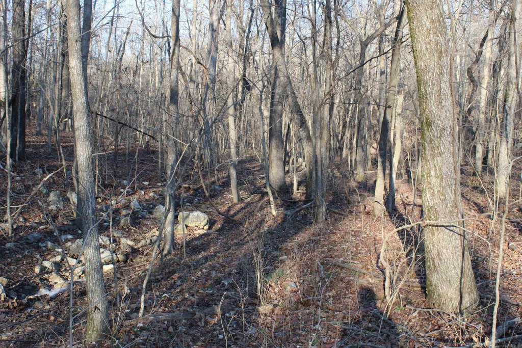 Picture 6