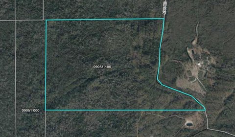 Recreational Timberland Tract