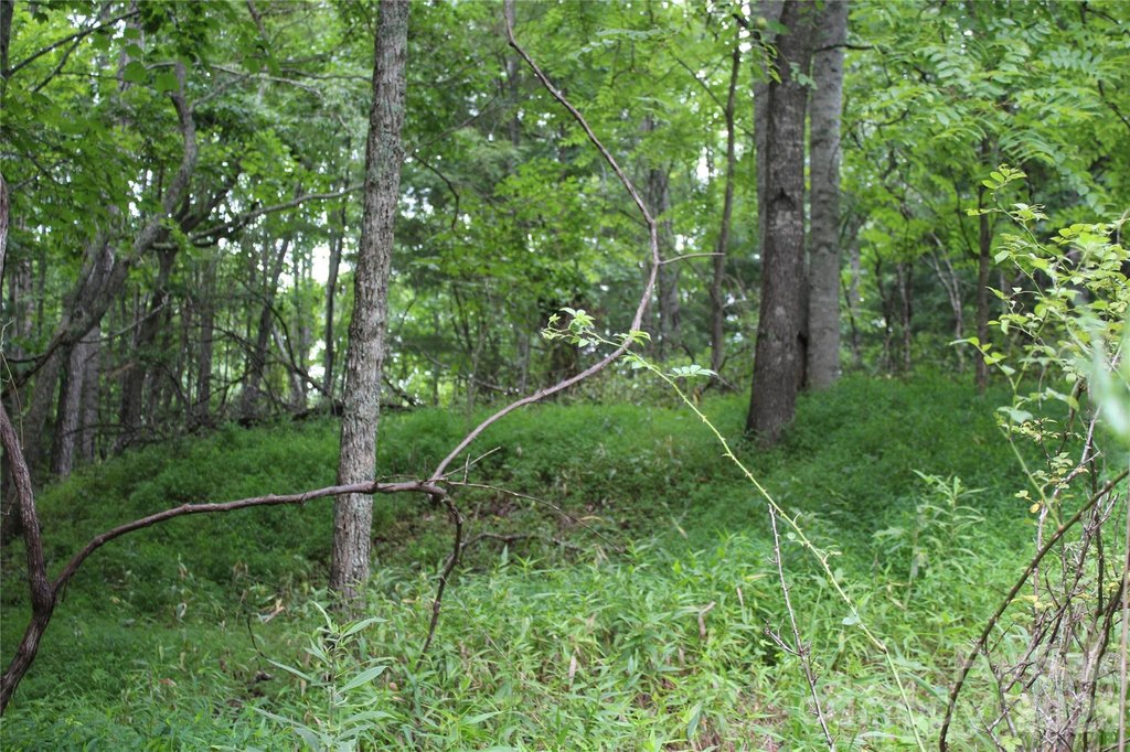 Picture 17