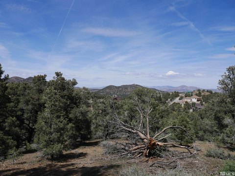 Treed Acres in Comstock Range