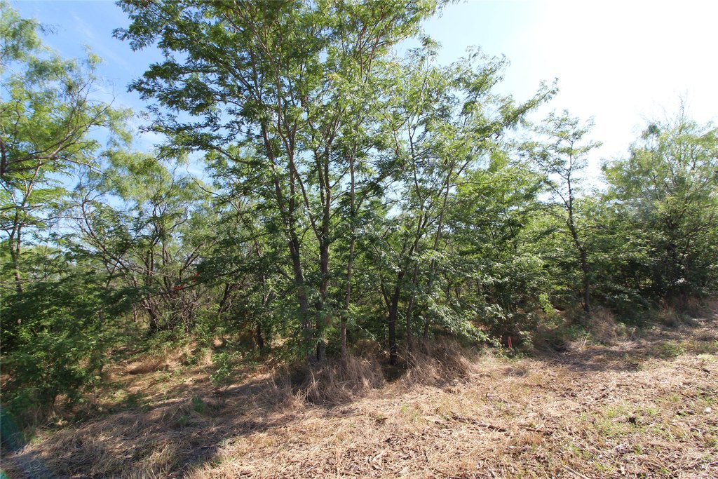 Picture 7