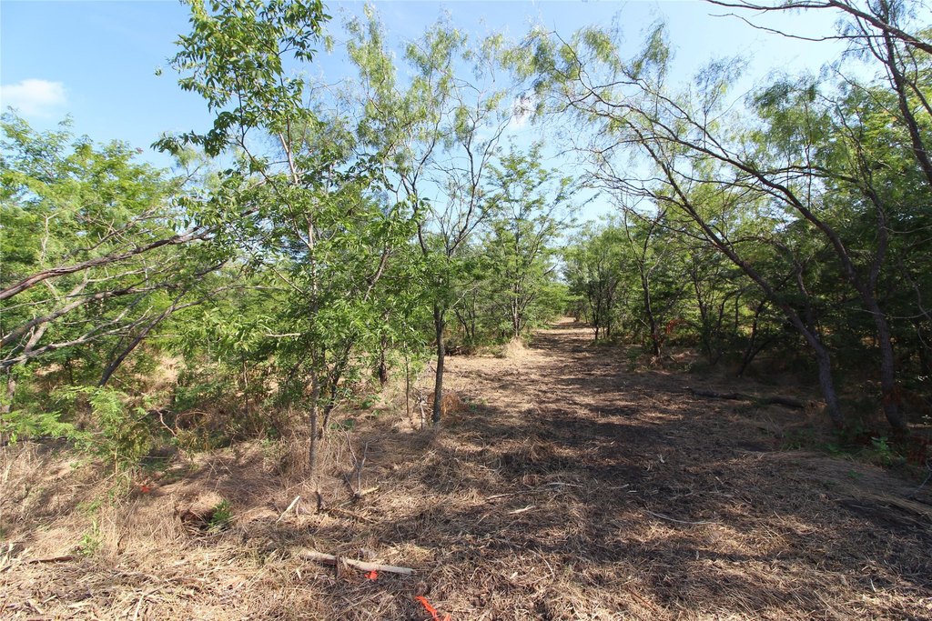 Picture 9