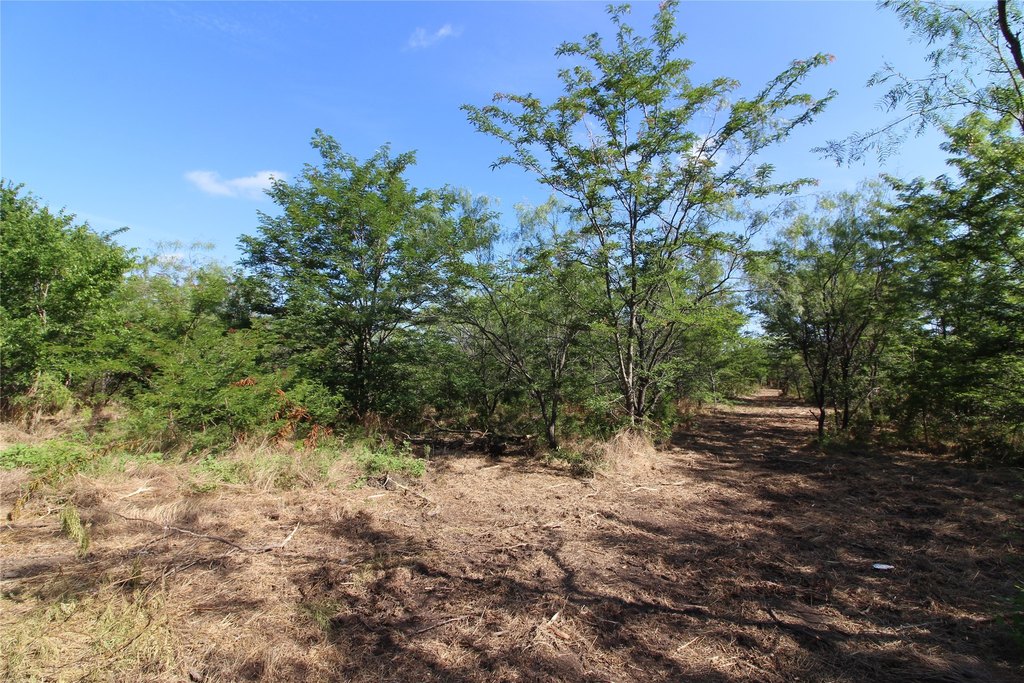 Picture 12