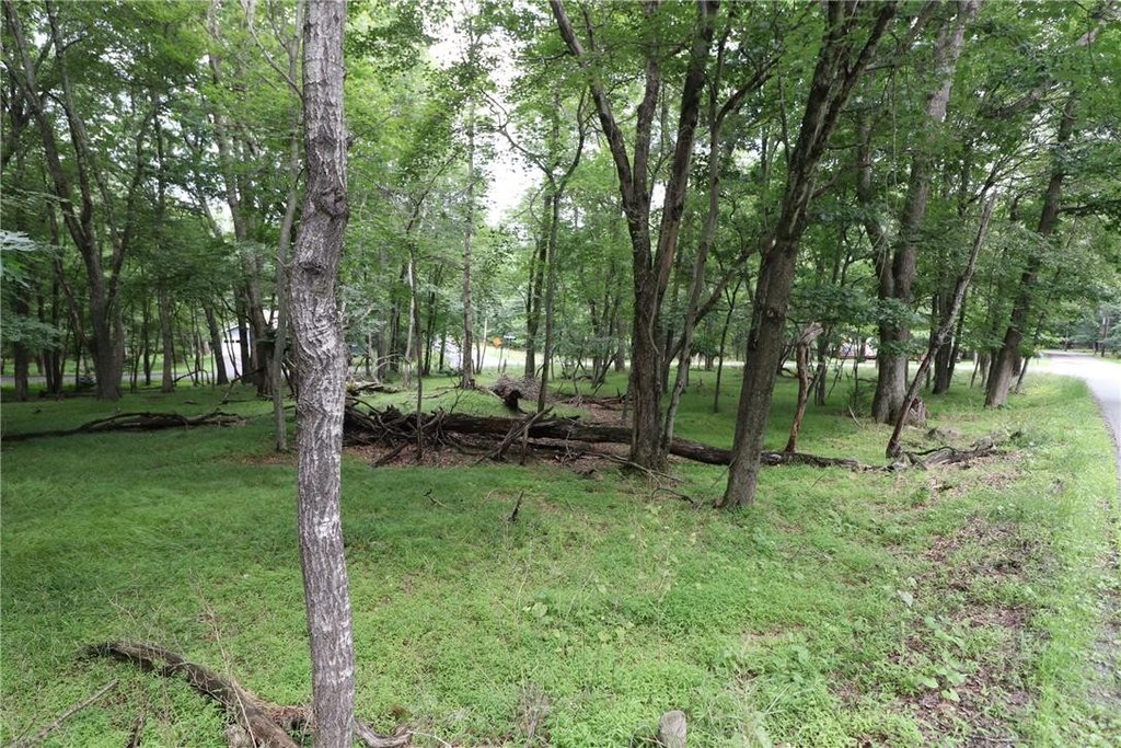 Picture 16