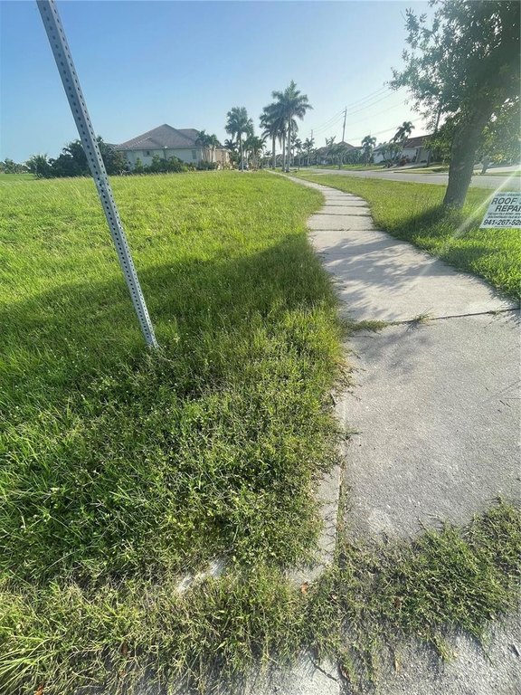 Picture 8