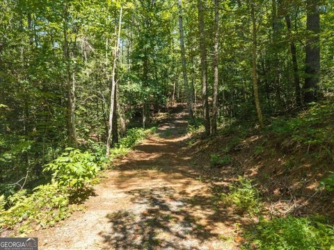 Land, Ellijay, GA