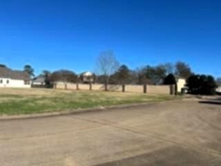 Picture 5