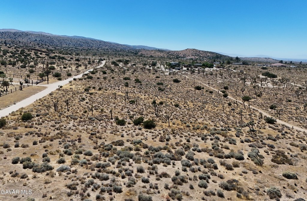 Picture 6