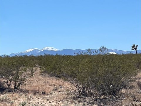 Joshua Tree Land with Views
