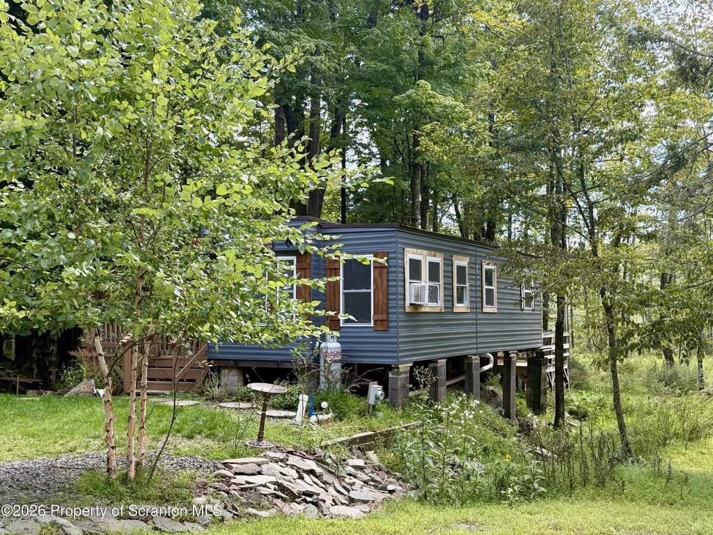Picture 3