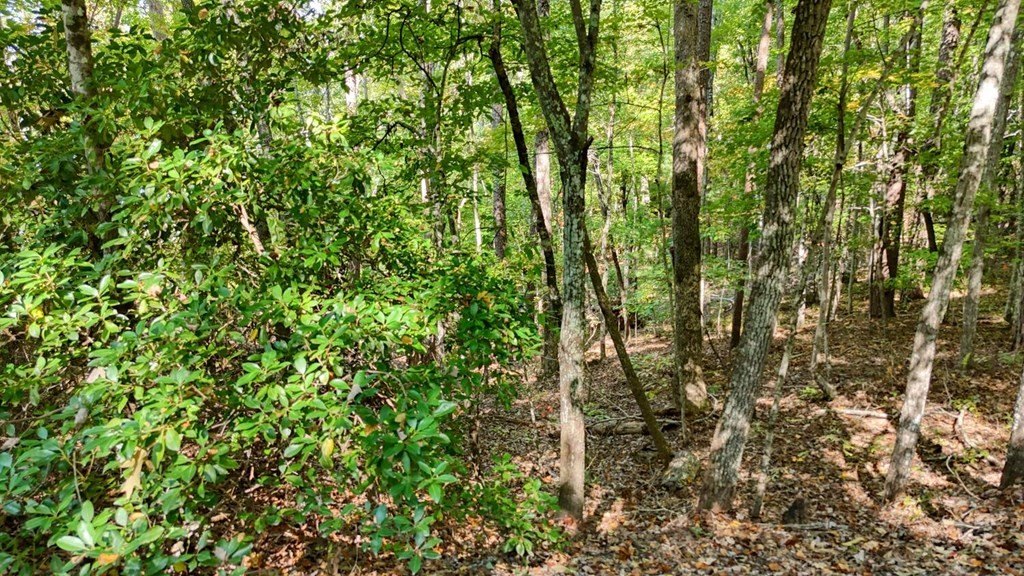 Picture 23