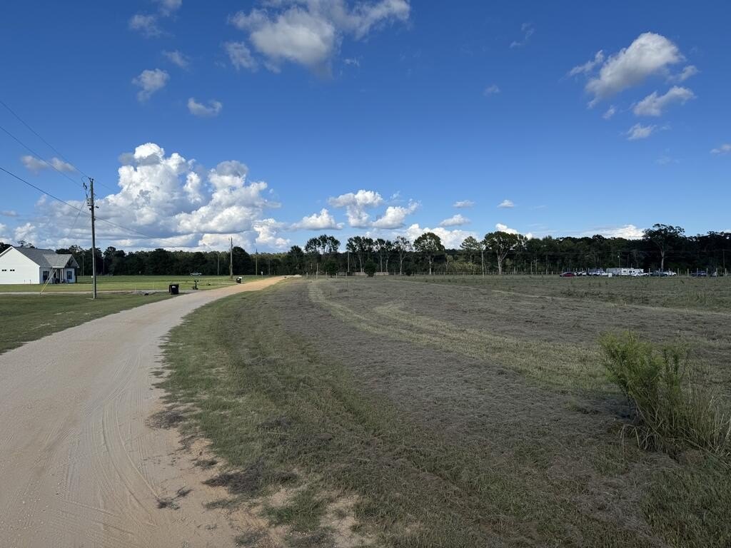 Picture 10