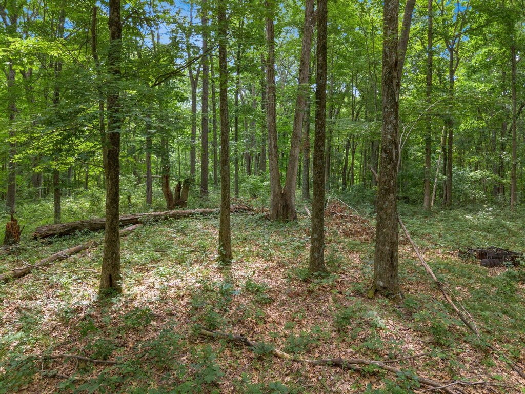 Picture 45