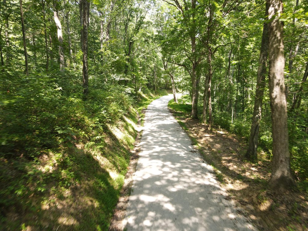 Picture 5