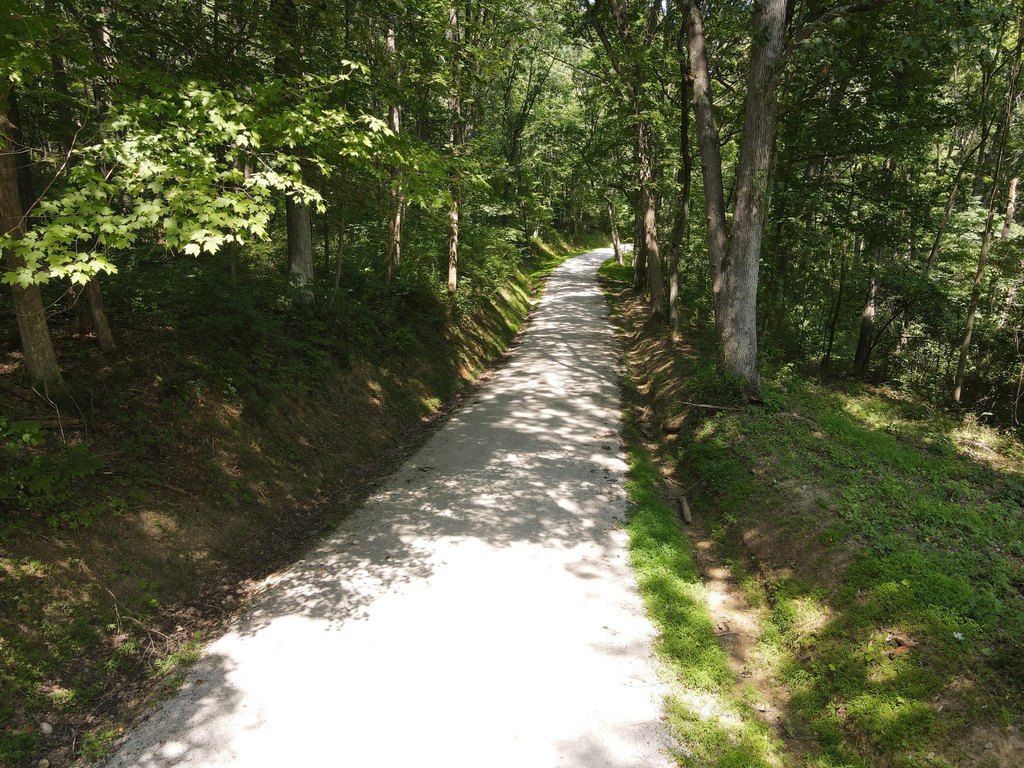 Picture 13