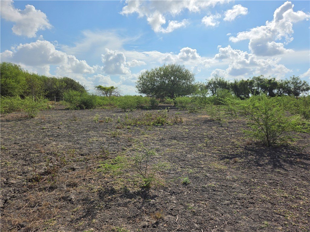 Picture 14