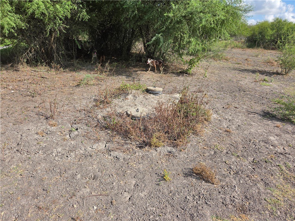 Picture 9