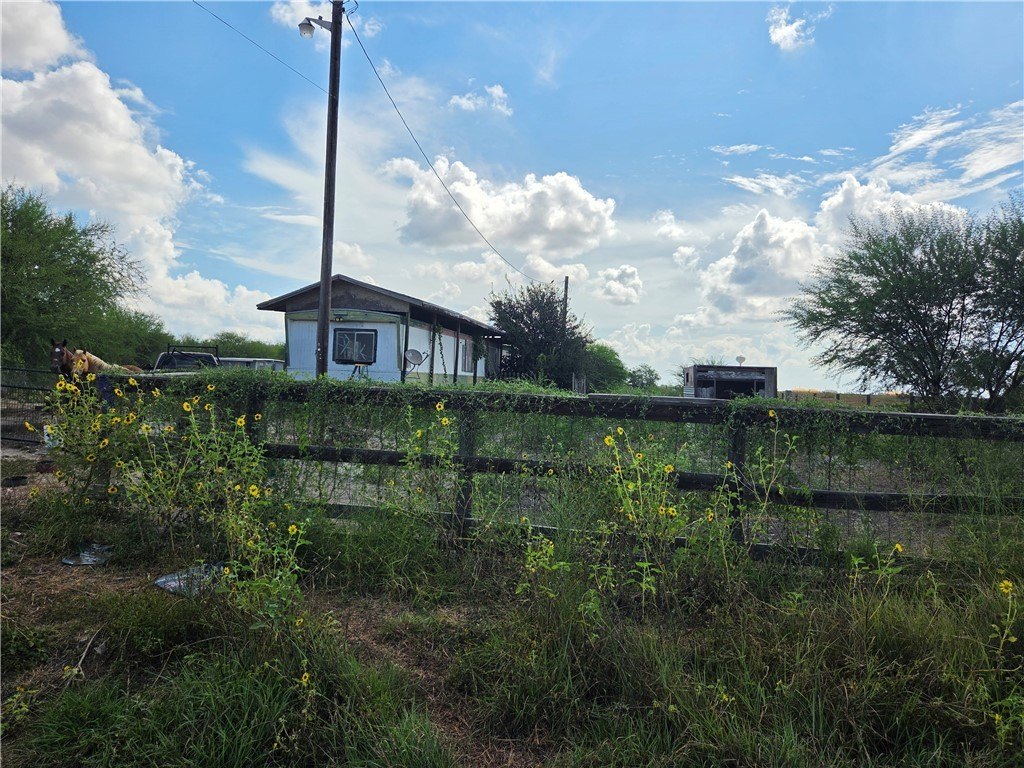 Picture 5