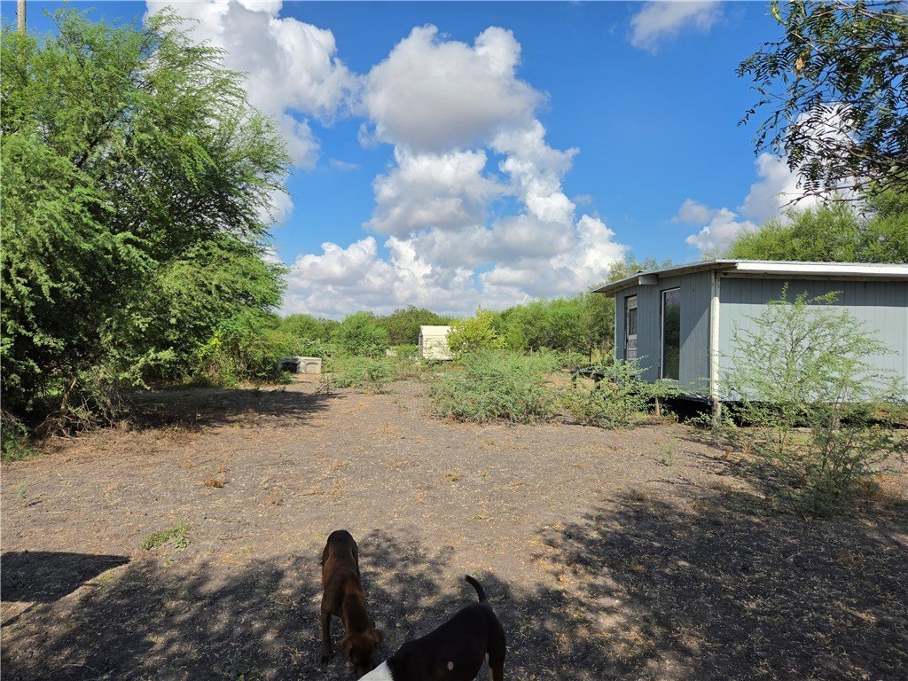 Picture 18
