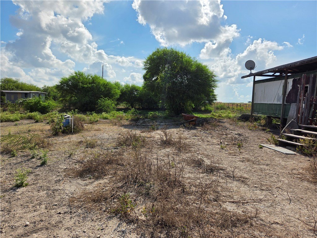 Picture 23