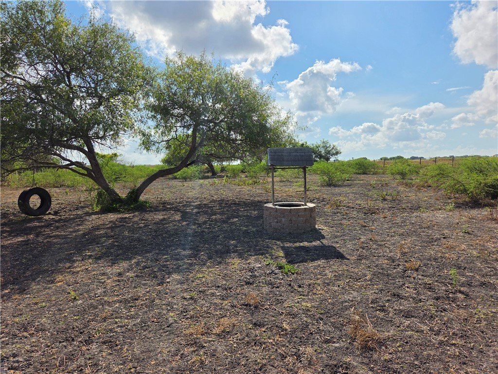 Picture 19
