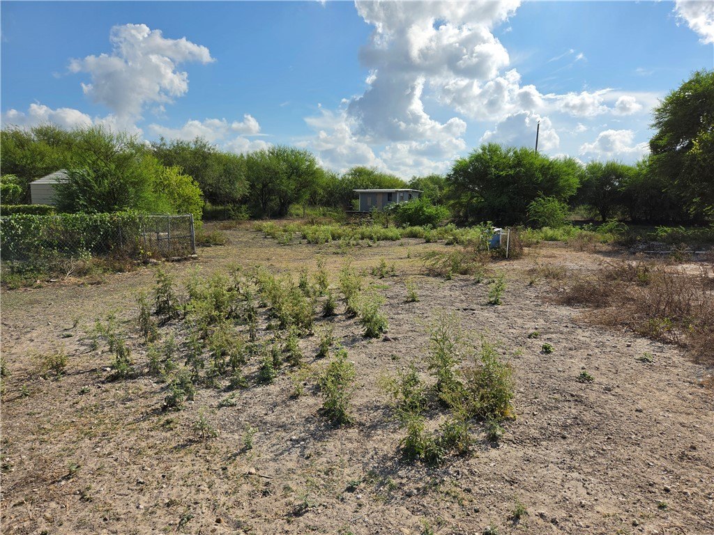 Picture 24
