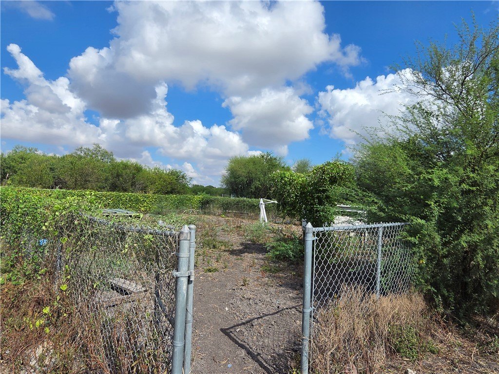 Picture 6