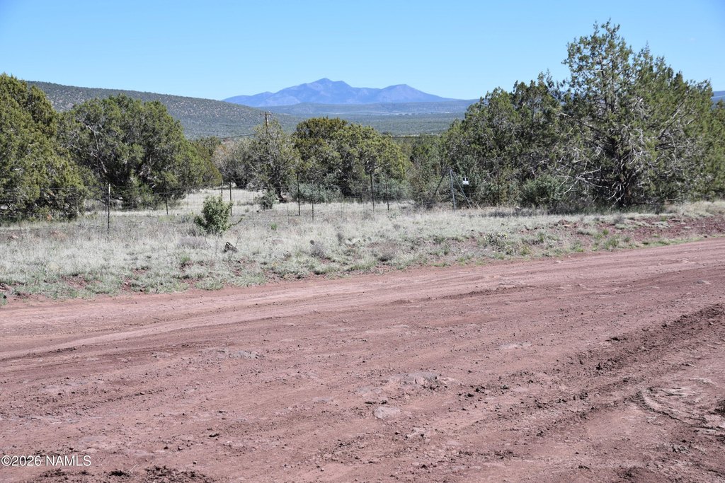 Picture 21