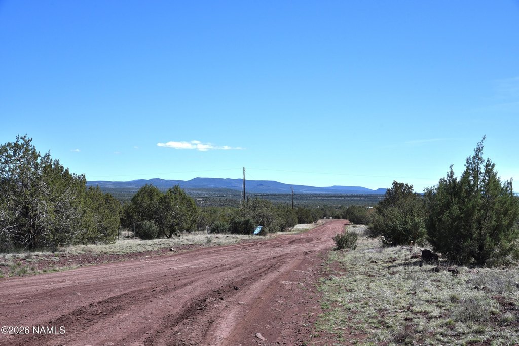 Picture 20