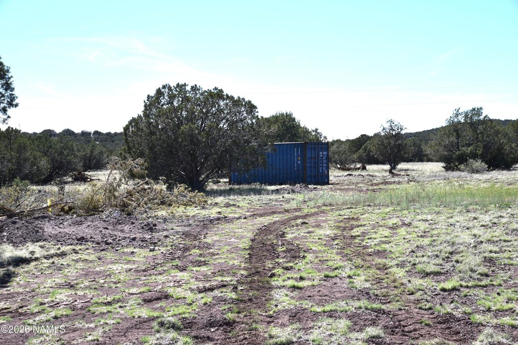 Picture 17