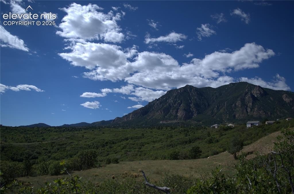 Picture 5