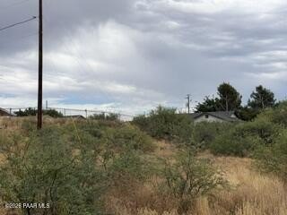 Picture 14