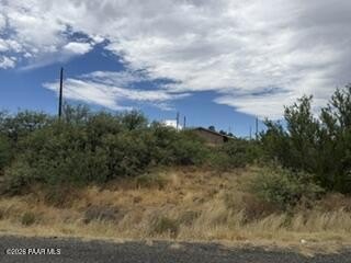 Picture 8