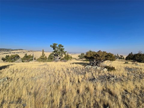 LAND - Ennis, MT