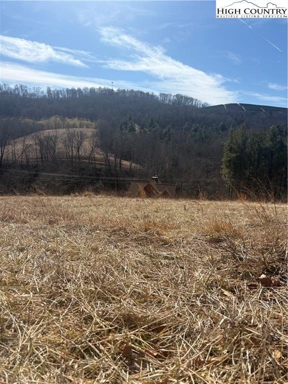 Residential Lot in Alleghany Manor