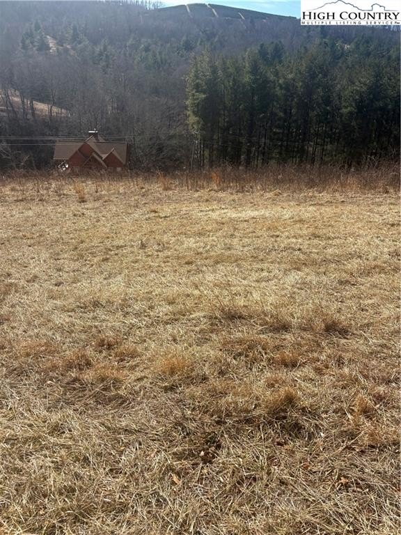 Picture 2