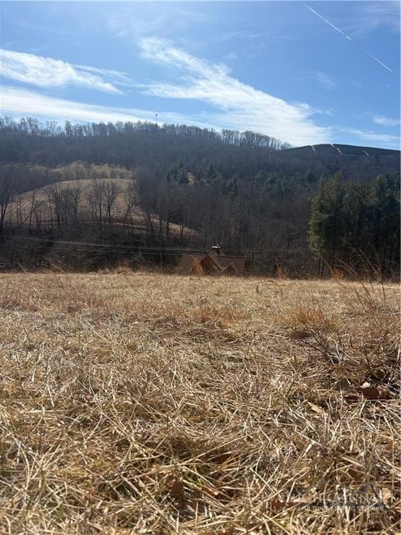 Picture 3