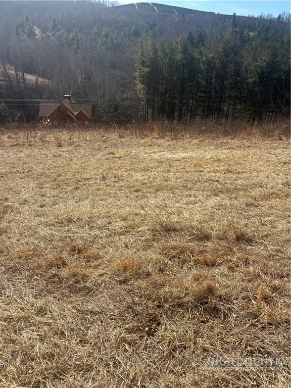 Picture 4