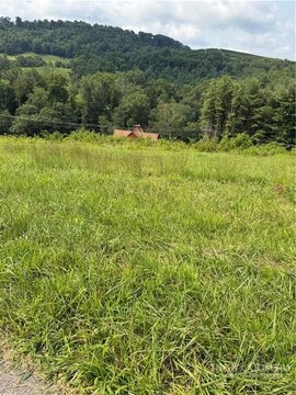 Residential Lot in Alleghany Manor