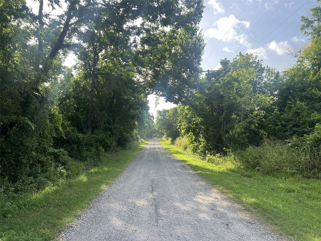 Picture 19